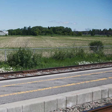 A view of a train track with a lush field in the background.