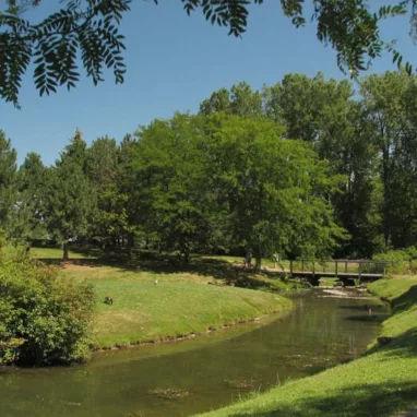 A stream flows through a park, surrounded by trees and grass.