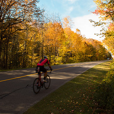 Cyclist on a road lined with vibrant autumn trees in Gatineau, reflecting the seasonal transitions experienced by local movers.