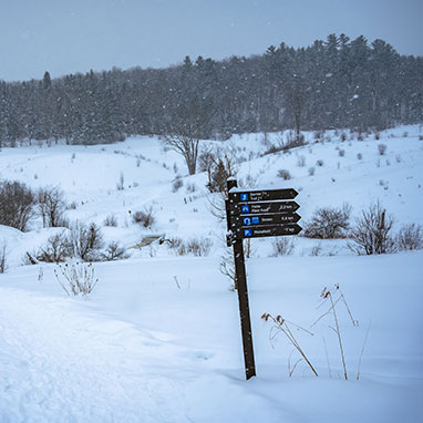 Snow-covered Gatineau landscape with a directional signpost and trees under a serene winter sky, reflecting paths of local movers.