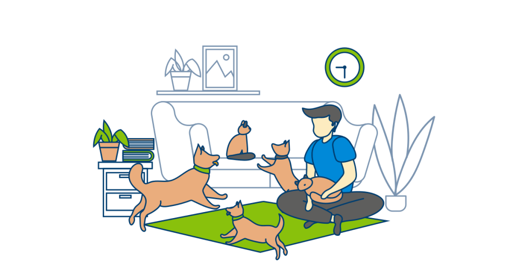 A person sitting on the living room floor interacting with four cats and a dog, ensuring their routine stays consistent.